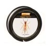 PB-Products Red Ant Snagleader 35lb 80m -PROLOGIC Verkoopwinkel 62353p 23463